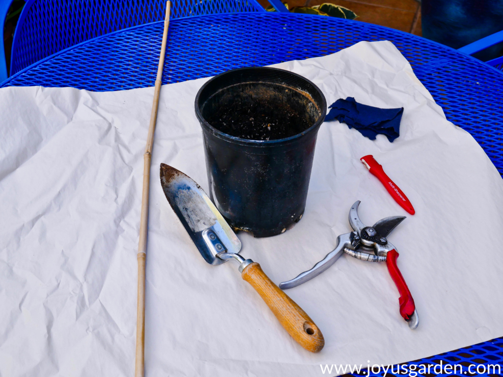 here are the materials used for planting an air layered plant a stake a trowel a grow pot a pair of pruners & a sharpener