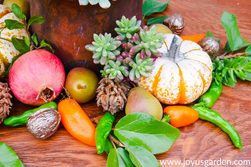 Colorful gourds for the fall season