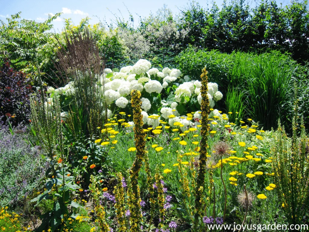 Beautiful mature garden bed with shrubs