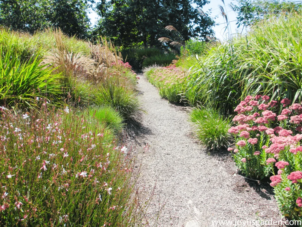 Gorgeous gravel garden path