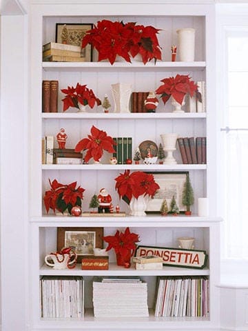 a white bookcase styled with red poinsettias, books, santas, trees & other christmas ornaments