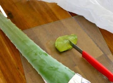 an aloe vera leaf with the end wrapped in foil sits next to a cut chunk of aloe vera leaf the ext reads 7 ways to use aloe vera leaves