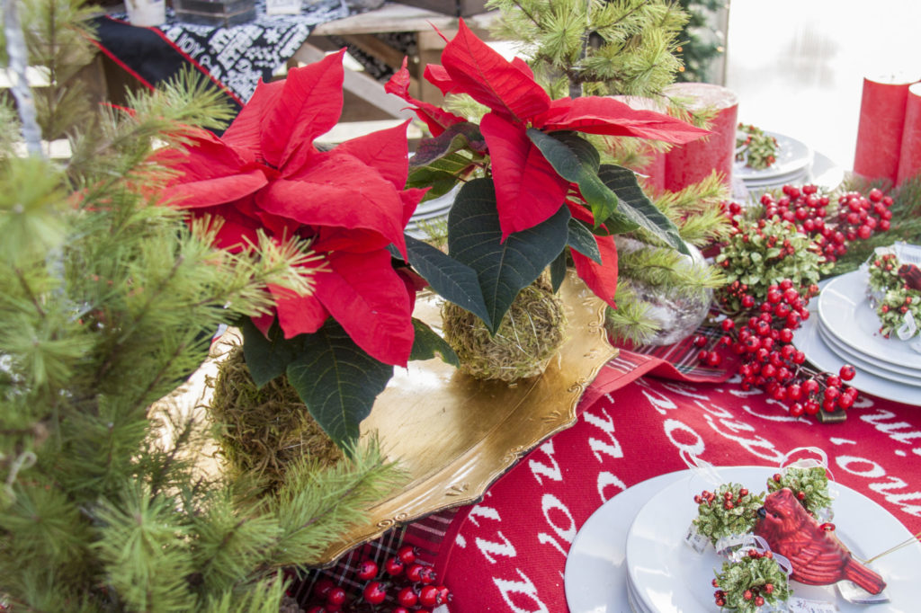 a christmas table setting with red poinsettia kokedamas