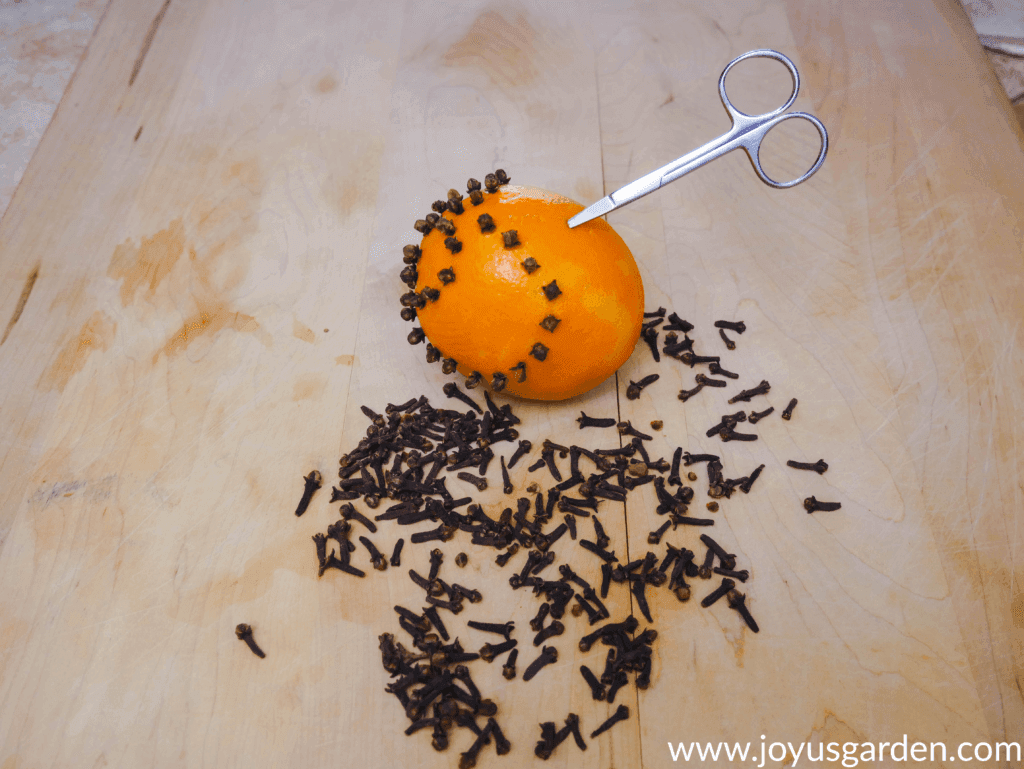 close up of a naval orange decorated with cloves & a pair of manicure scissors poked into it