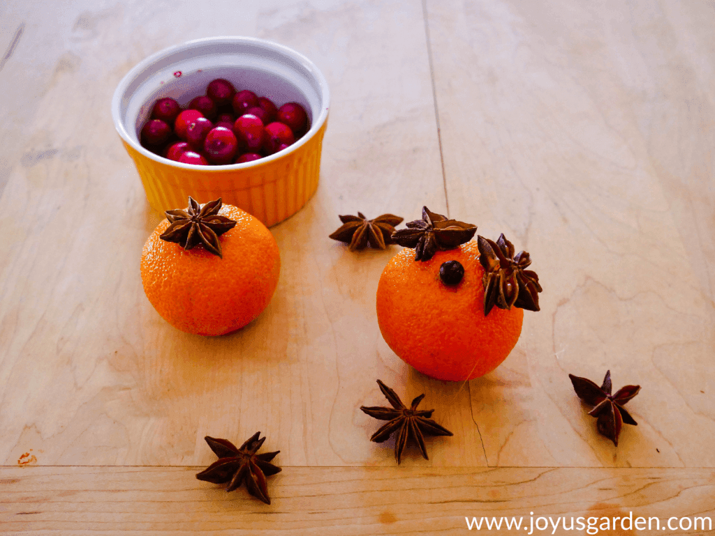 2 clementine cuties with star anise on the top sit on a cutting board next to a small bowl with cranberries