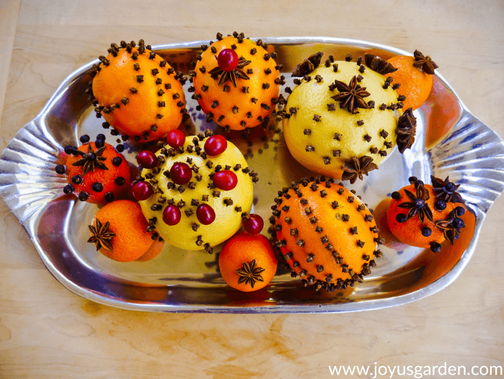 close up of citrus fruits adorned with whole cloves star anise cranberries & juniper berries on a silver tray