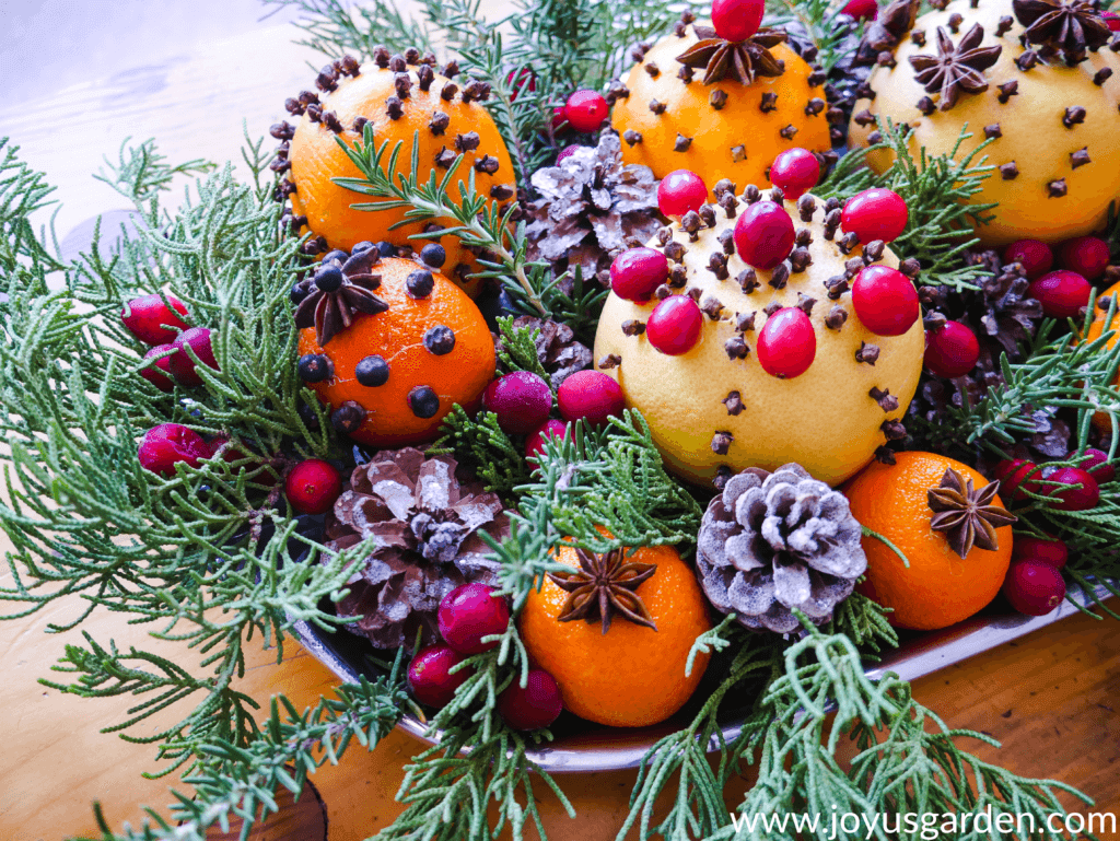 close up of a tray filled with spice adorned citrus fruits cranberries glittered pine cones evergreen & rosemary branches