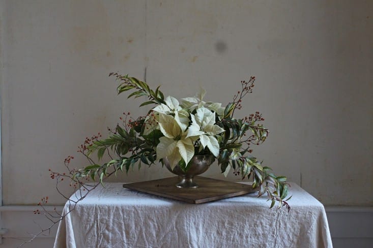 a beautiful & natural centerpiece showcasing white poinsettias