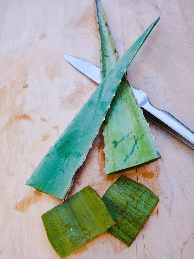 5 Ways to Use Aloe Vera Leaves