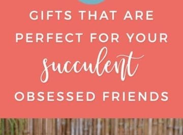 Do you have a friend that simply adores succulents? Well, if you're interested in buying them a present that’ll remind them of their favorite plants, we've got a succulent gift guide just for you.