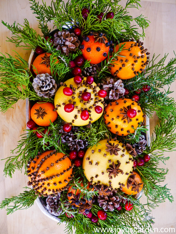 a silver tray for holiday decor is full of spice adorned citrus fruits, evergreen & rosemary springs & cranberries
