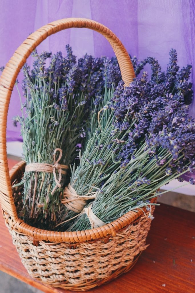 Lavender Dried Herbs for Candle Making