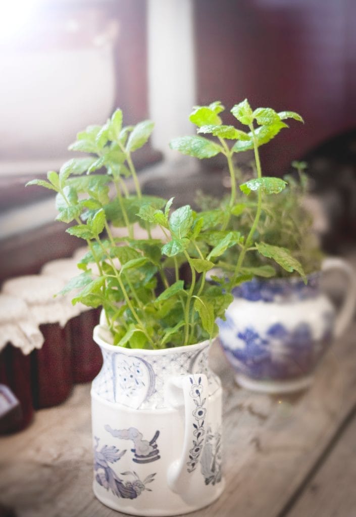 Mint Dried Herbs for Candle Making