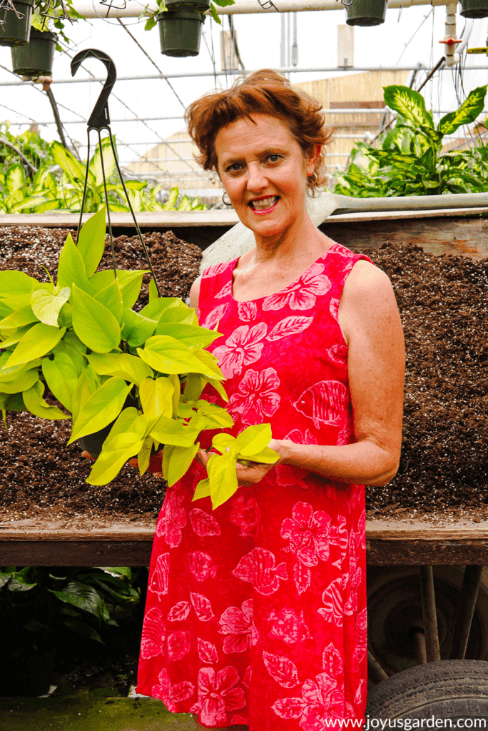 nell foster of joy us garden holds a chartreuse neon pothos