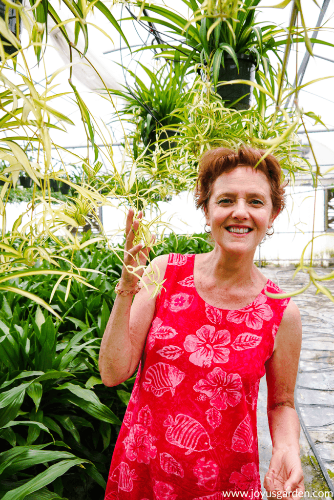 nell foster with joy us garden stands underneath spider plants the babies are touching her head