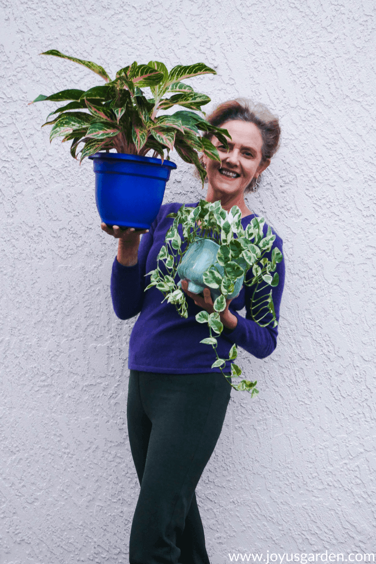 Nell’s Horticultural Adventures: A Love Affair With Houseplants