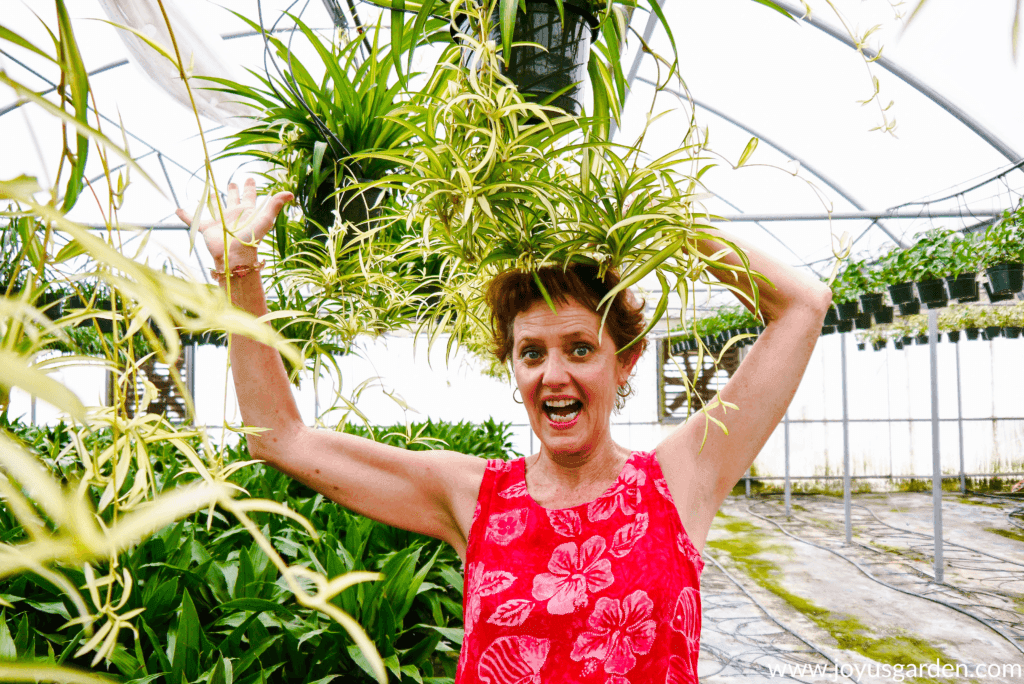 Nell Foster with spider plants