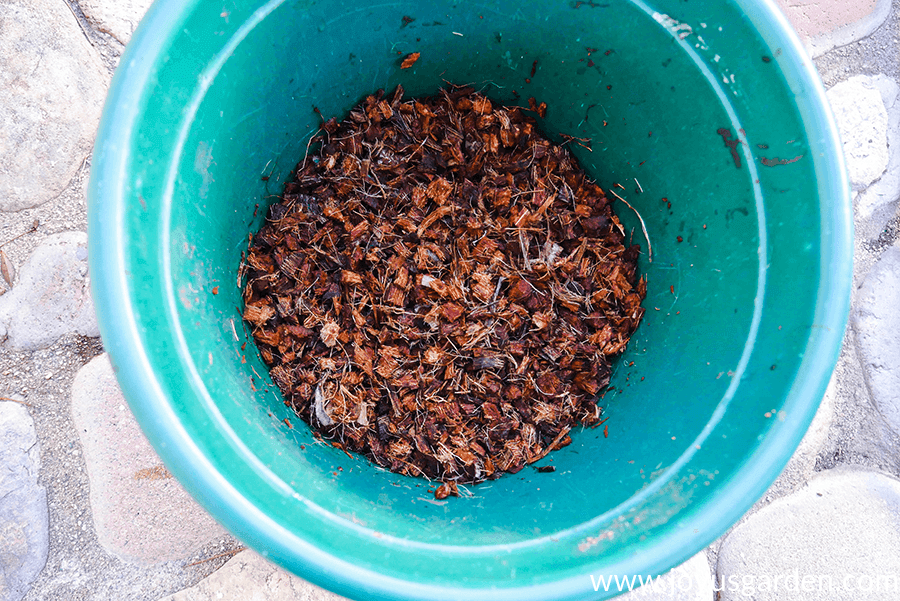 looking down on a pail of coco fiber & coco chips