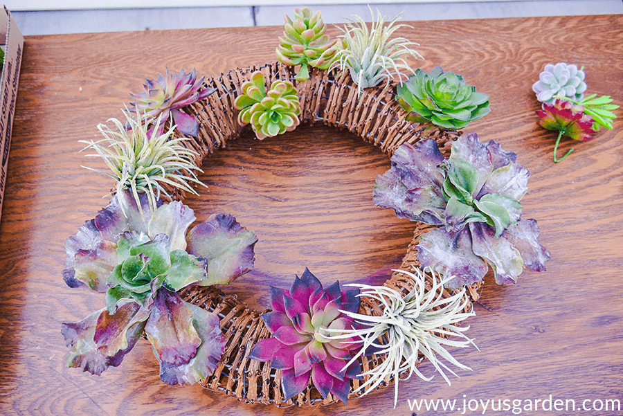 a vine wreath with faux succulents in the process of being created