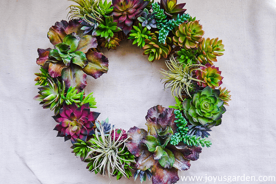 close up of a colorful faux succulent wreath with a variety of succulents & 3 air plants