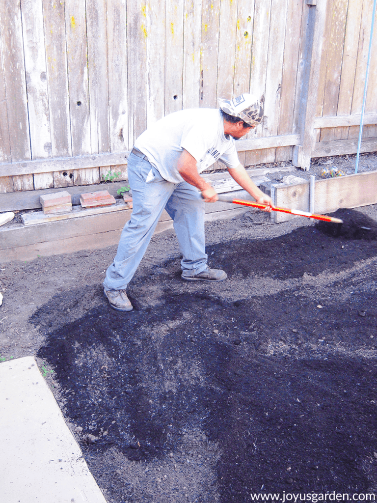 a man spreads soil amendments with a rake for a new planting