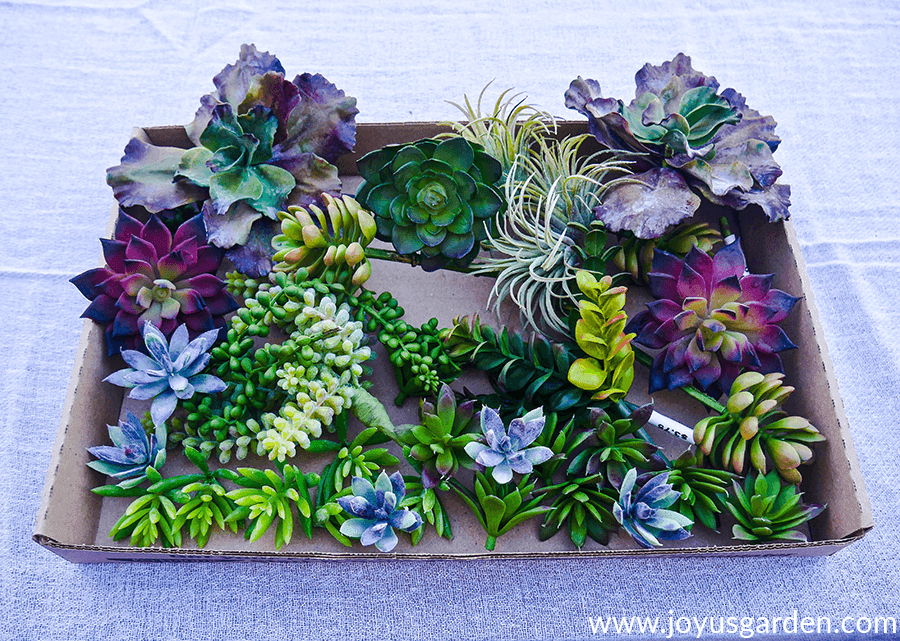 close up of a variety of faux succulents in a low cardboard box