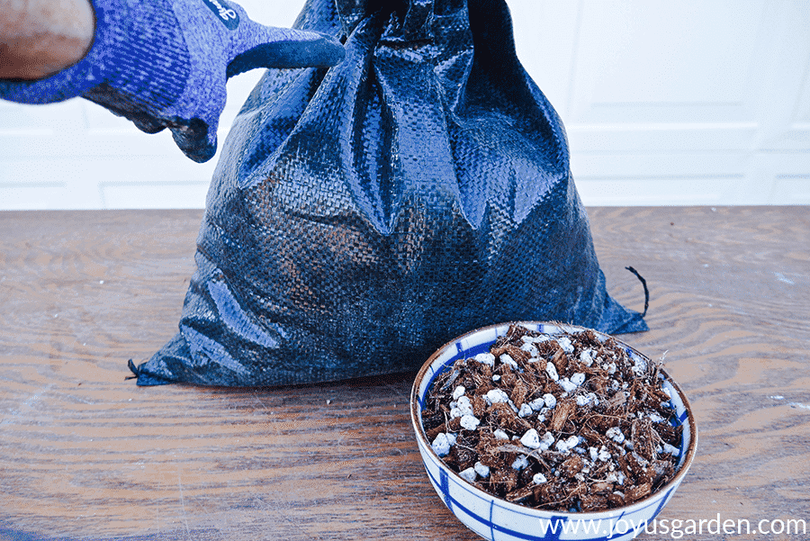 a bowl of diy succulent & cactus mix sits in front of a black bag with a finger pointing to it