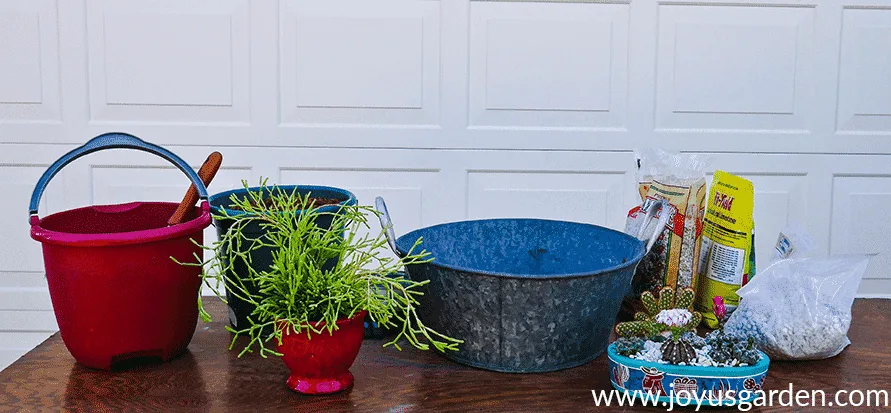 Succulents and ingredients to make your own succulent and cactus soil mix on a work table.