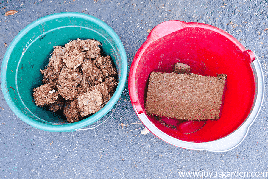 Blocks of coco fiber and coco chips in a teal pail and a red pail.
