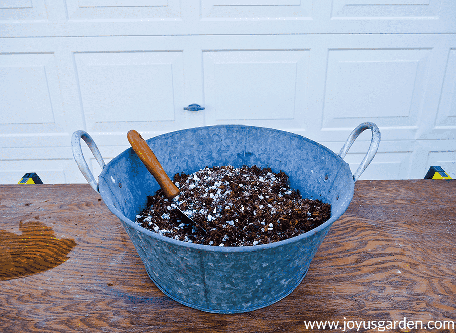 homemade succulent & cactus mix in a metal bin with a trowel in it