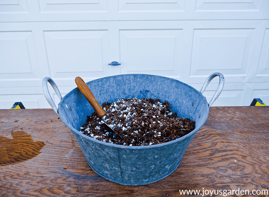 Homemade succulent and cactus mix in a metal bin with a trowel in it.