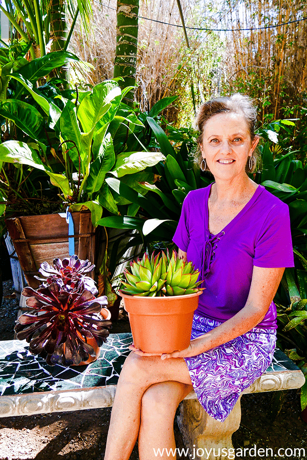 Nell Foster with joy us garden holding a succulent in a terra cotta pot with another succulent behind her