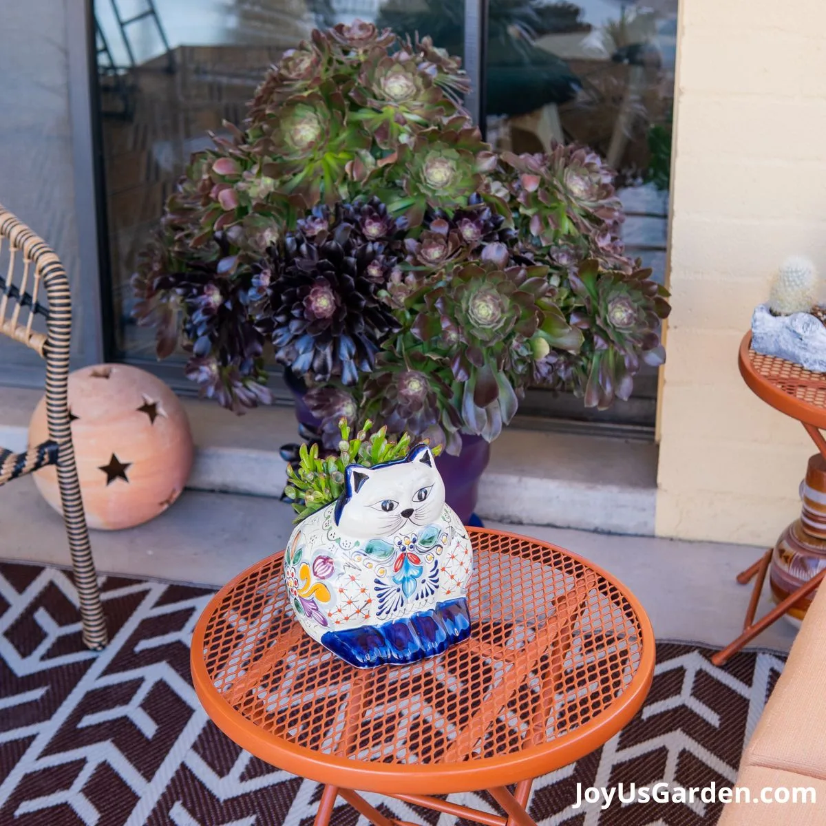outdoor patio in tucson arizona with orange patio furniture. cat planter is placed on orange table with a succulent growing inside, in the background is large aeonium growing