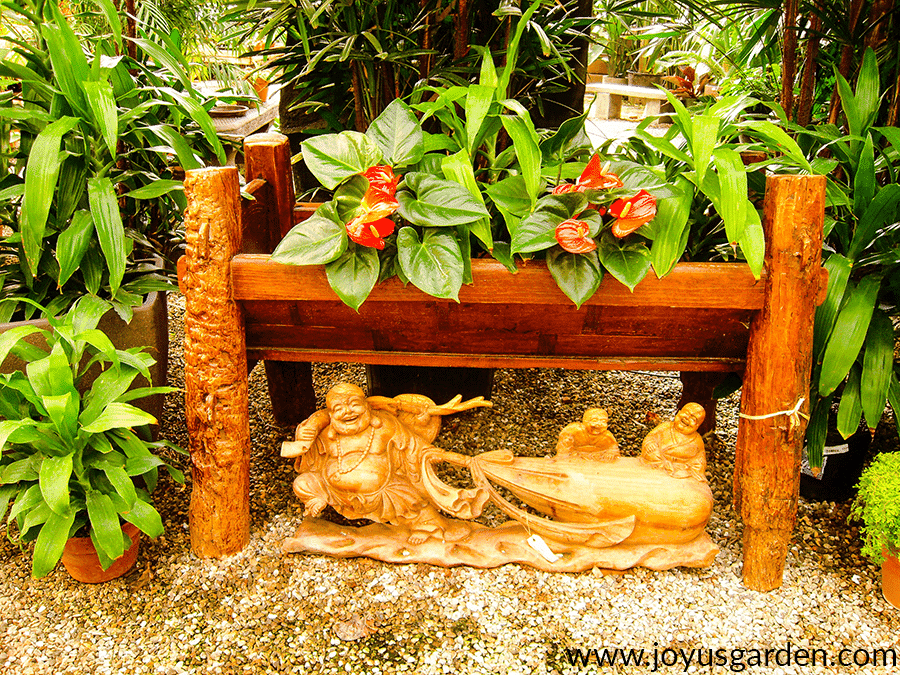 a bali themed display includes tropical plant & anthuriums with red flowers