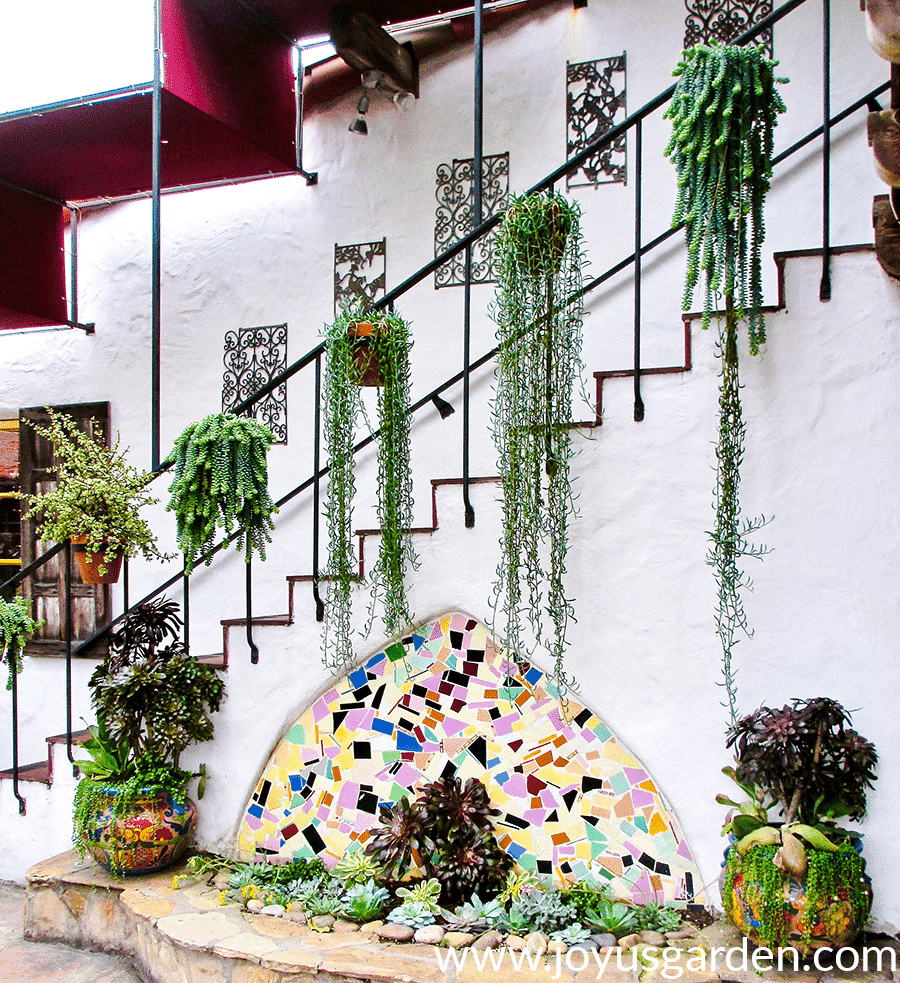 trailing Succulents in terra cotta pots in hang of a stair railing Old Town San Diego