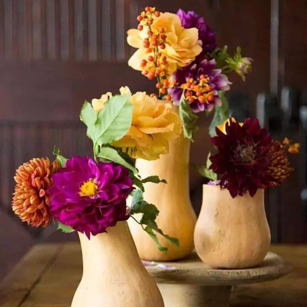 butternut squashes cut out to use as vases filled with colorful fall flowers