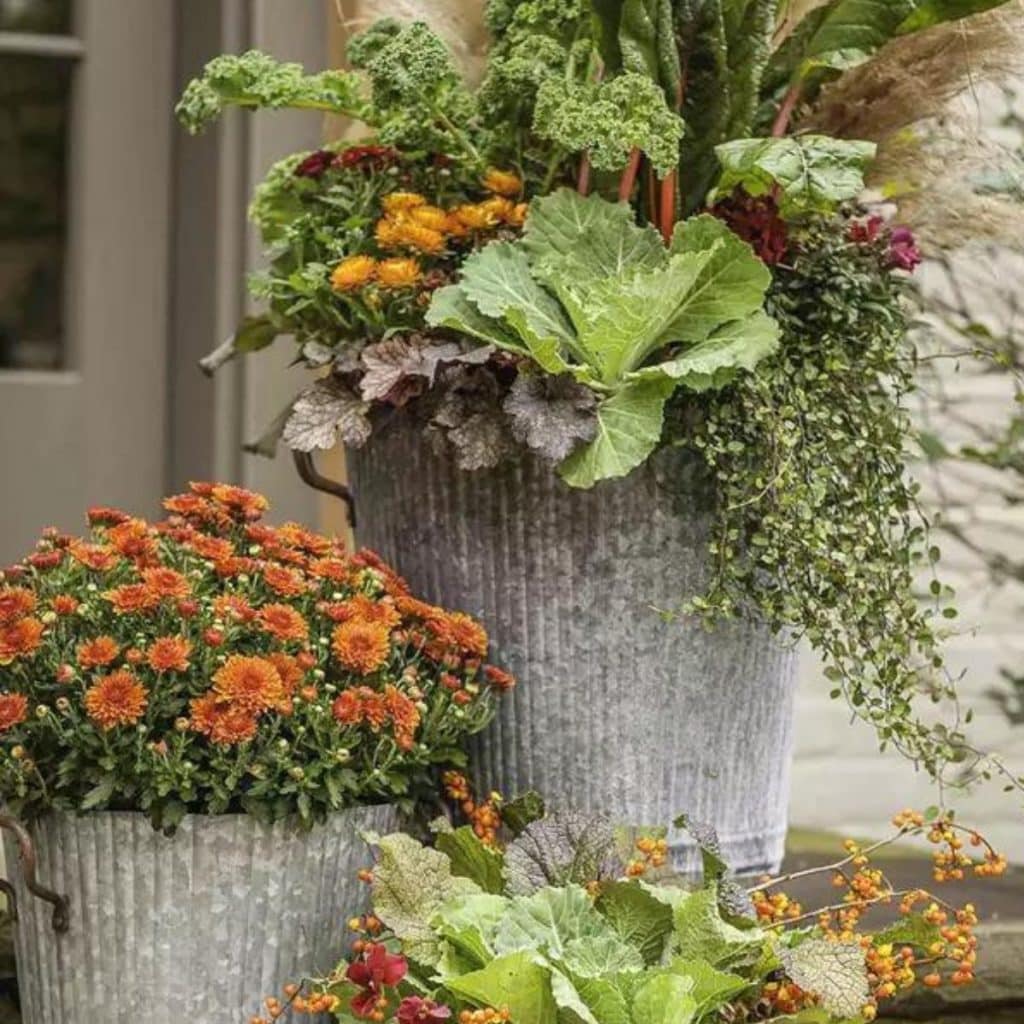 3 subtle fall planting combos in 3 beautiful tin containers on a front porch