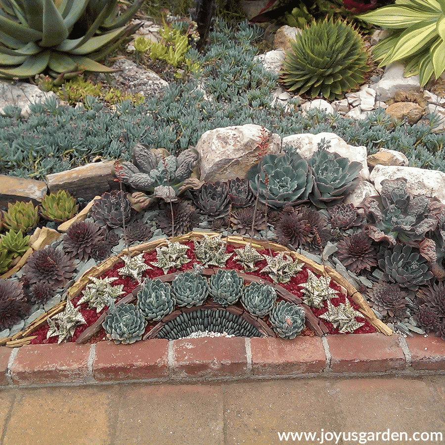 a colorful artful succulent garden adorned with rocks at sherman library & gardens in corona del mar ca