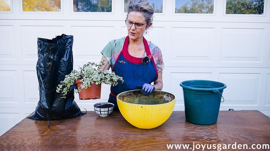 nell foster in a denim apron at a potting table holds a variegated succulent next to potting materials