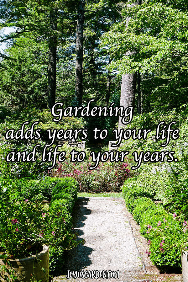 Inspiring Quotes About Plants And Flowers Joy Us Garden