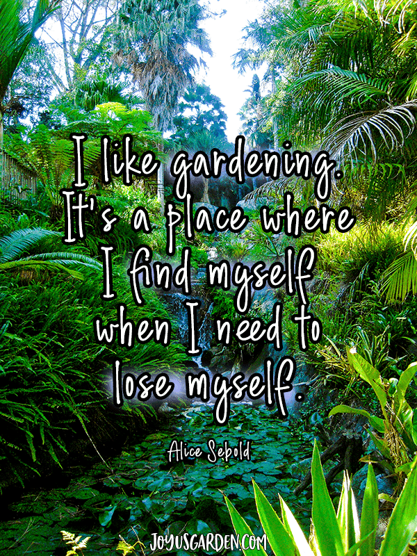 a tropical garden with the quote I like gardening it's a place where i find myself when i need to lose myself