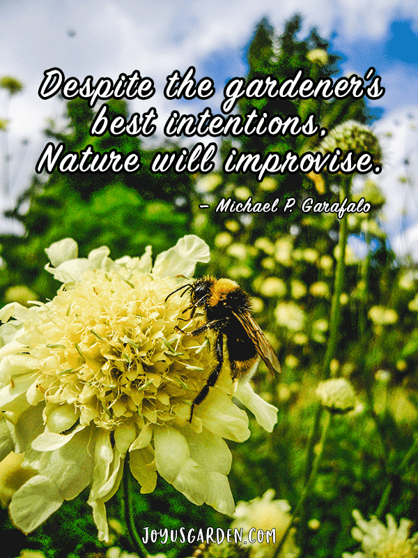 close up of a yellow flower with a bumble bee the quote reads despite the gardeners' best intentions nature will improvise