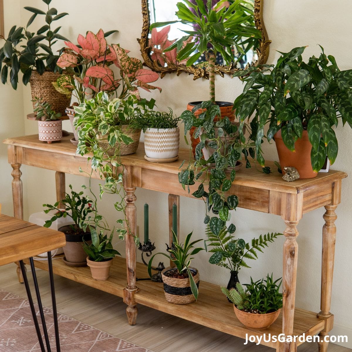 Plant table shown in bright indoor light, with a variety of houseplants adorning the 2 levels.