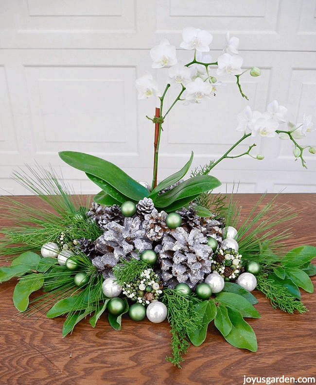 a white phalaenopsis orchid christmas decorations with glitter cones glass balls & fresh greens