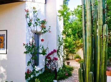 Desert Gardening