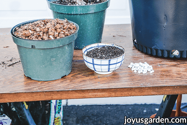 materials used for repotting a rubber plant ficus elastica