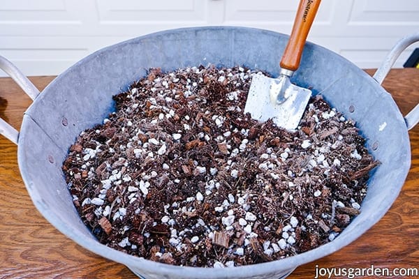 a tin bowl full of succulent & cactus mix with a trowel in it