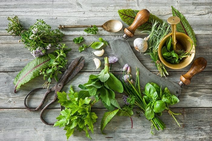 looking down on cut herbs along with tools used to harvest them