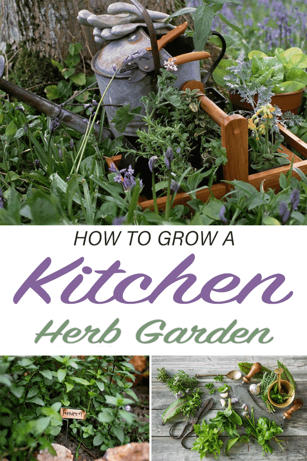 How to Grow a Kitchen Herb Garden