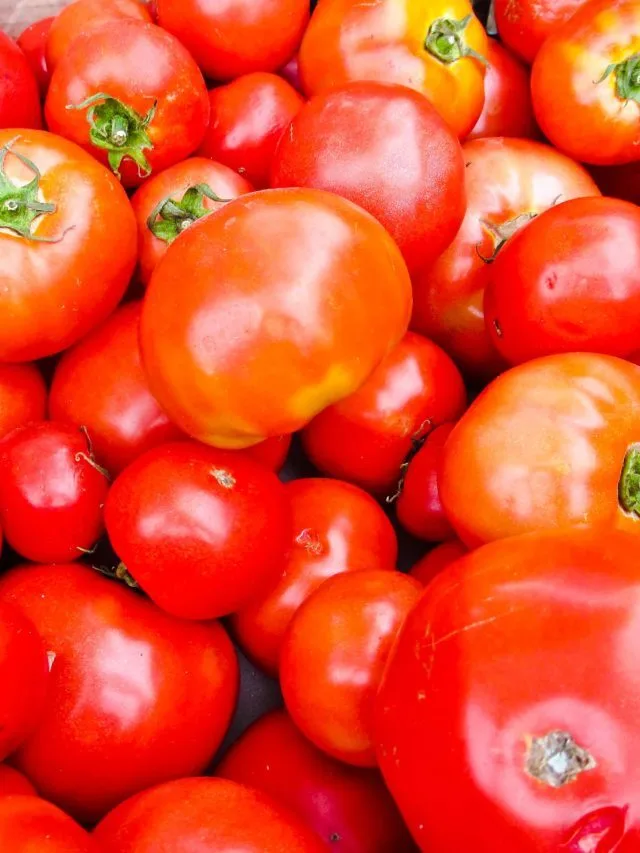 Growing Vegetables In Pots For Beginners